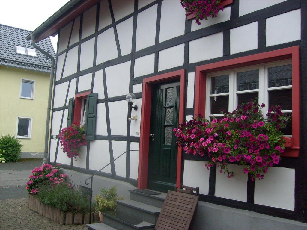 Ferienwohnung Dürbaum Schleiden Habitación foto