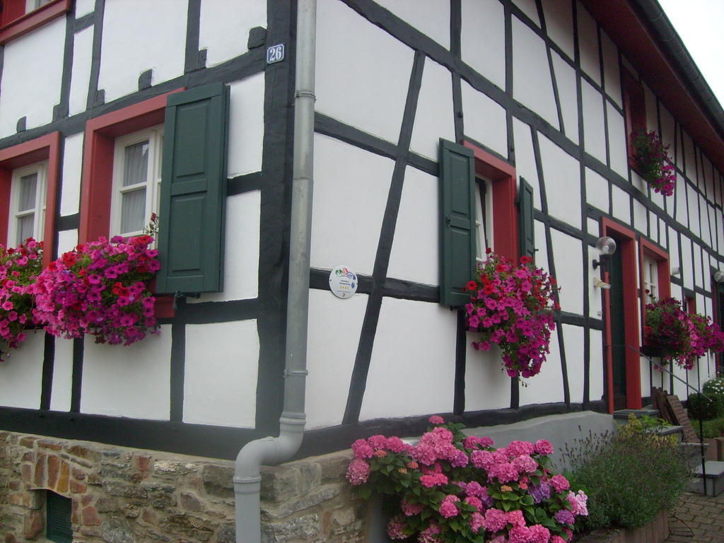 Ferienwohnung Dürbaum Schleiden Habitación foto